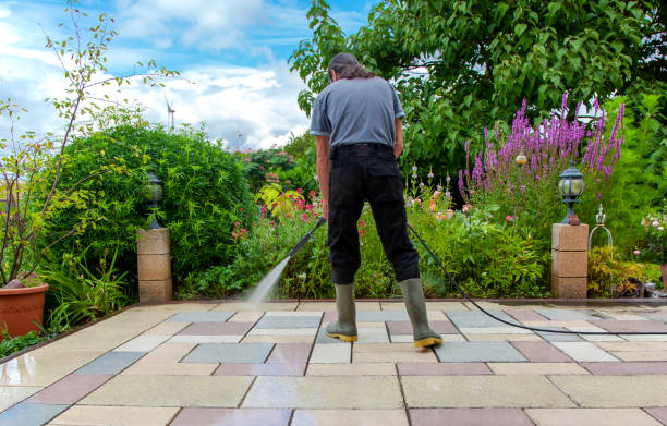 Best Driveway Pressure Washing  in Detroit Beach, MI